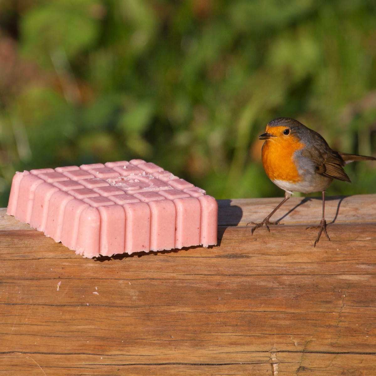 Peanut Cake Square Very Berry