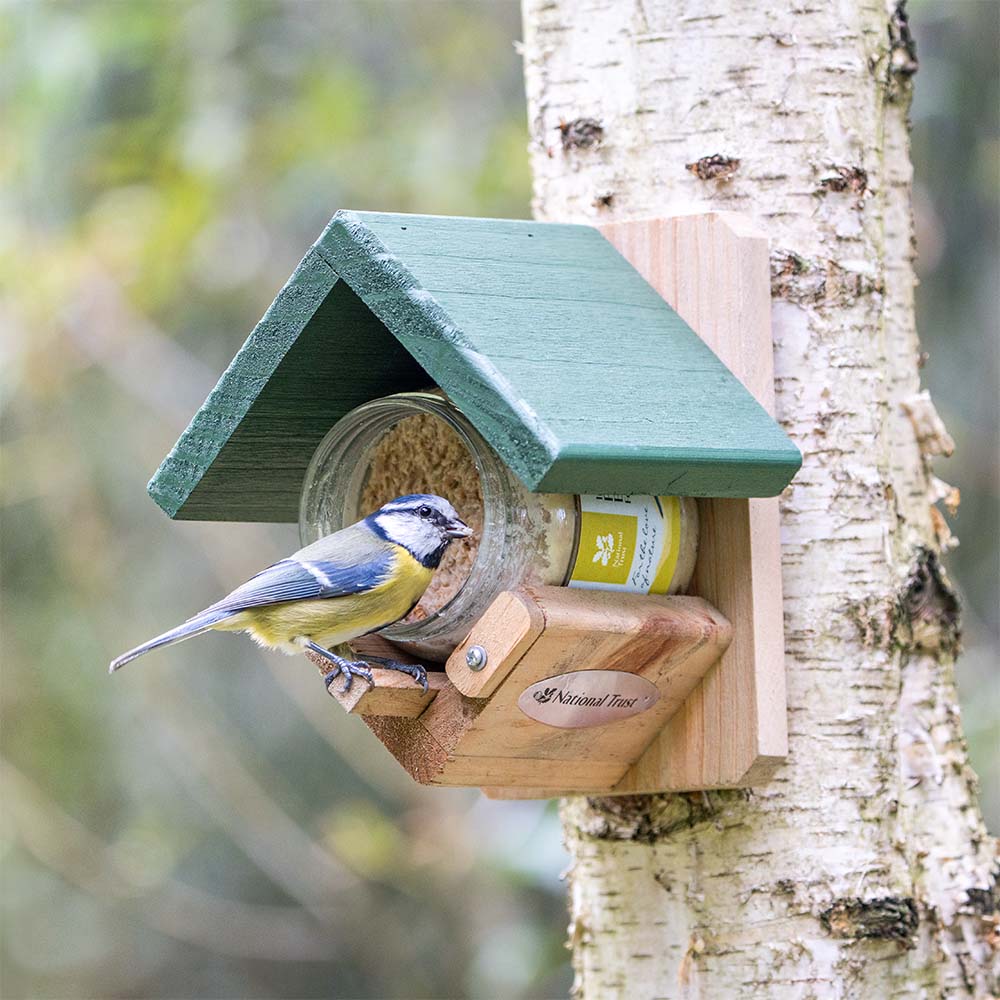 National Trust Insect Peanut Butter for Birds