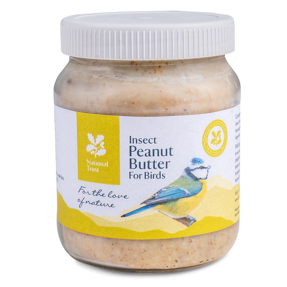 National Trust Insect Peanut Butter for Birds