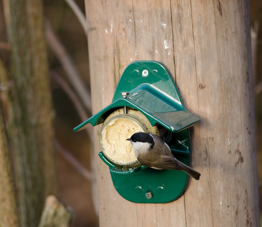 Premium Gartenvögel-Erdnussbutter Original 