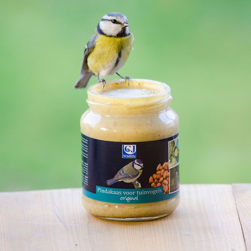 National Trust Original Peanut Butter for Birds