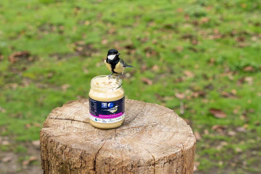 Premium Gartenvögel-Erdnussbutter – mit Mehlwürmern