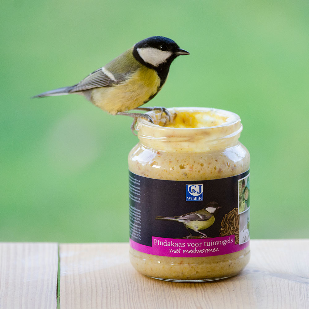 Premium Gartenvögel-Erdnussbutter – mit Mehlwürmern