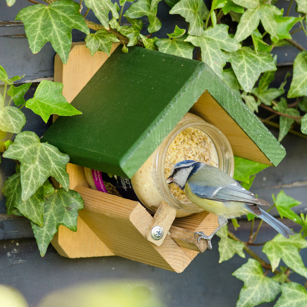 Premium Gartenvögel-Erdnussbutter – mit Mehlwürmern