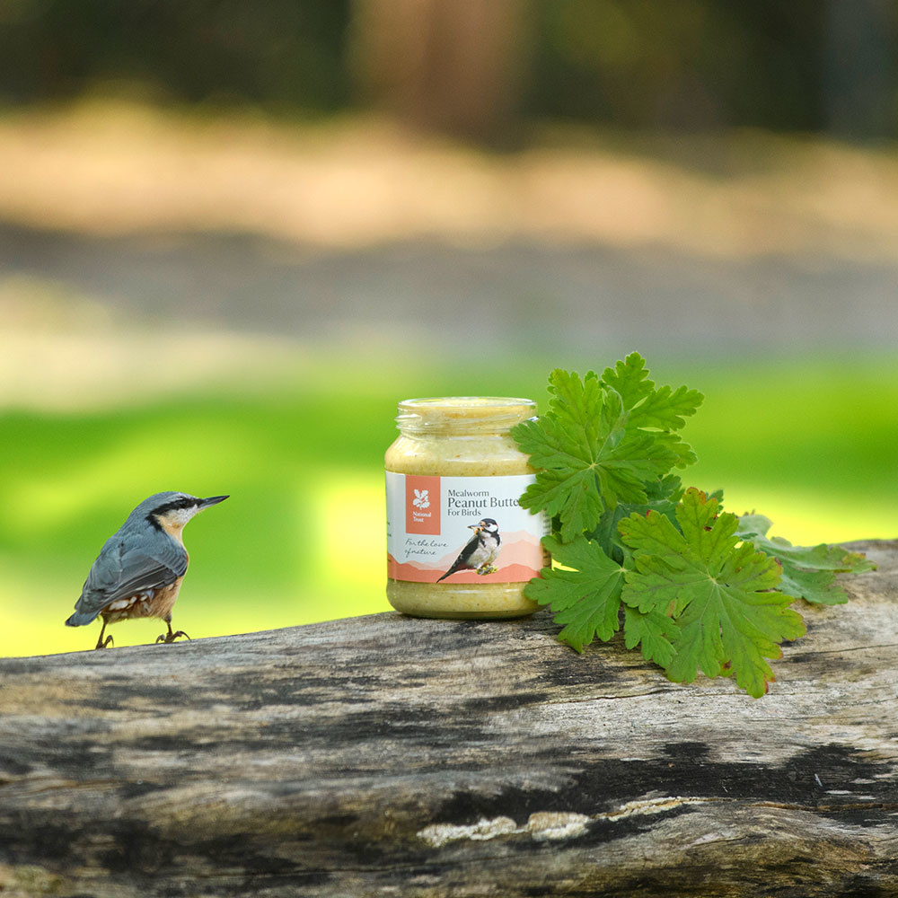 National Trust Mealworm Peanut Butter for Birds