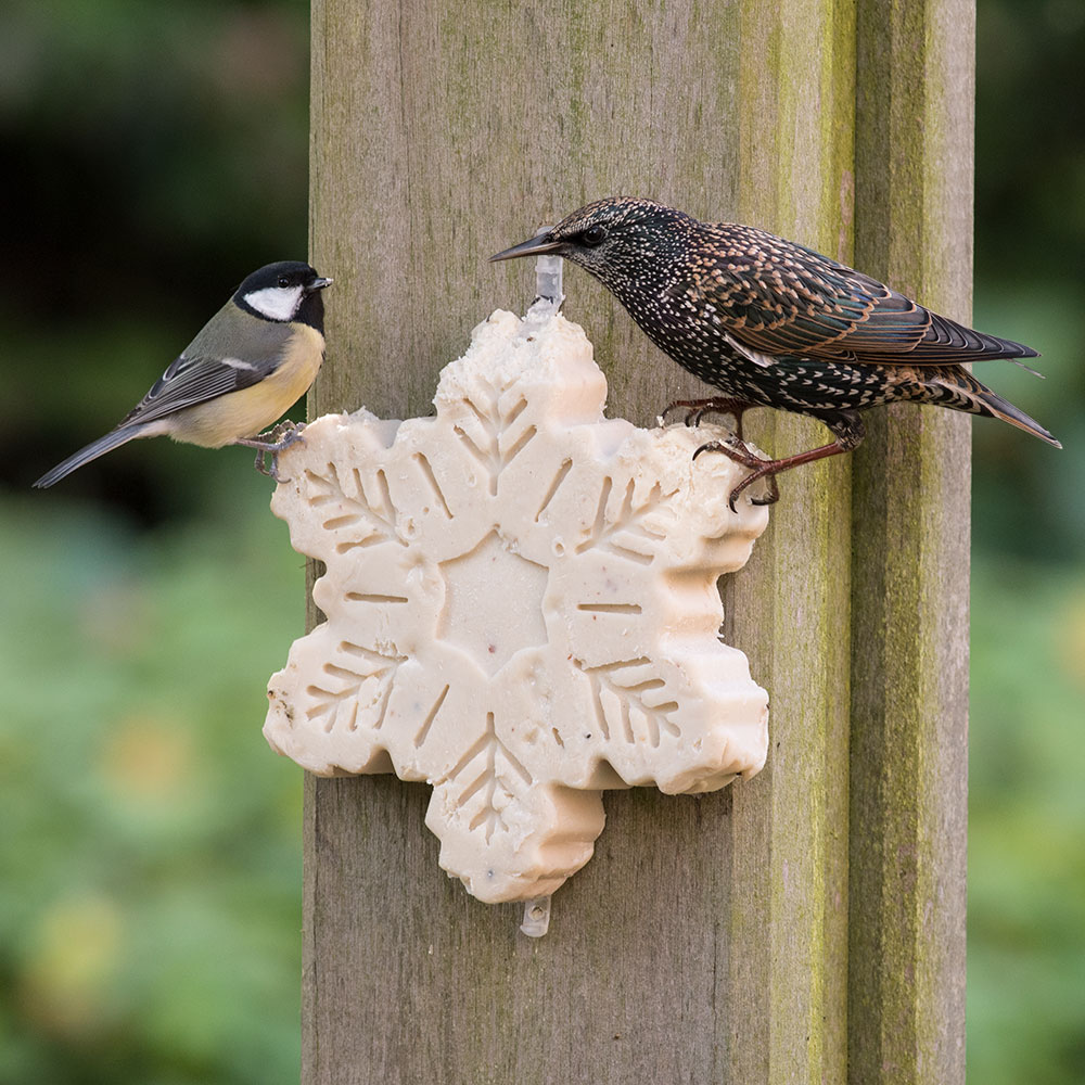 Christmas Snowflake Suet Treat 700g