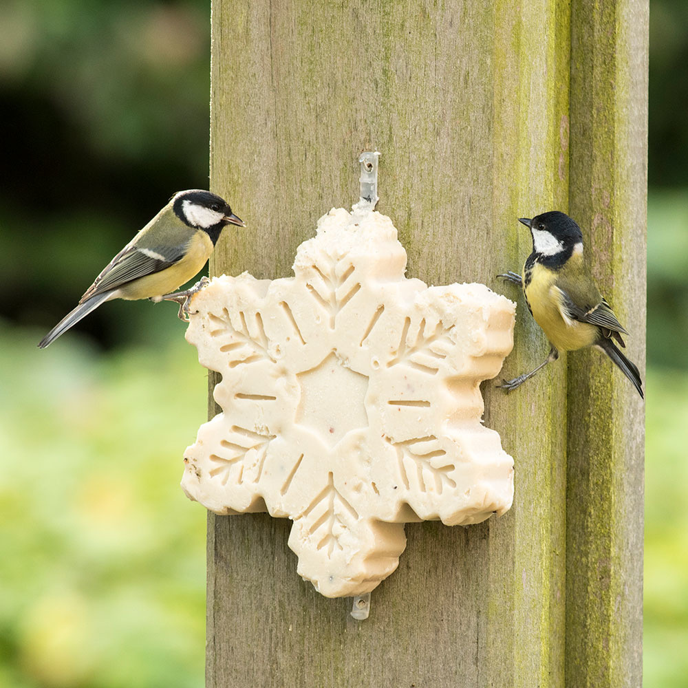 Christmas Snowflake Suet Treat 700g