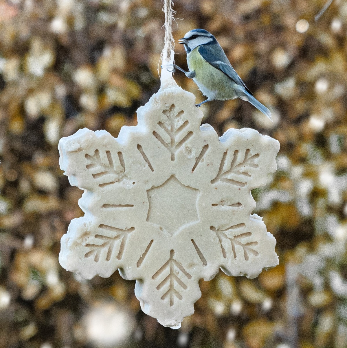 Christmas Snowflake Suet Treat 700g