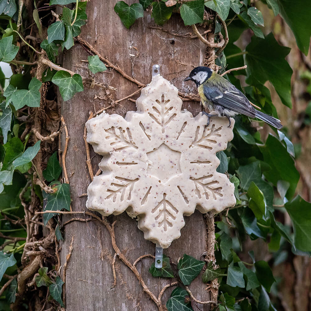 Christmas Snowflake Suet Treat 700g