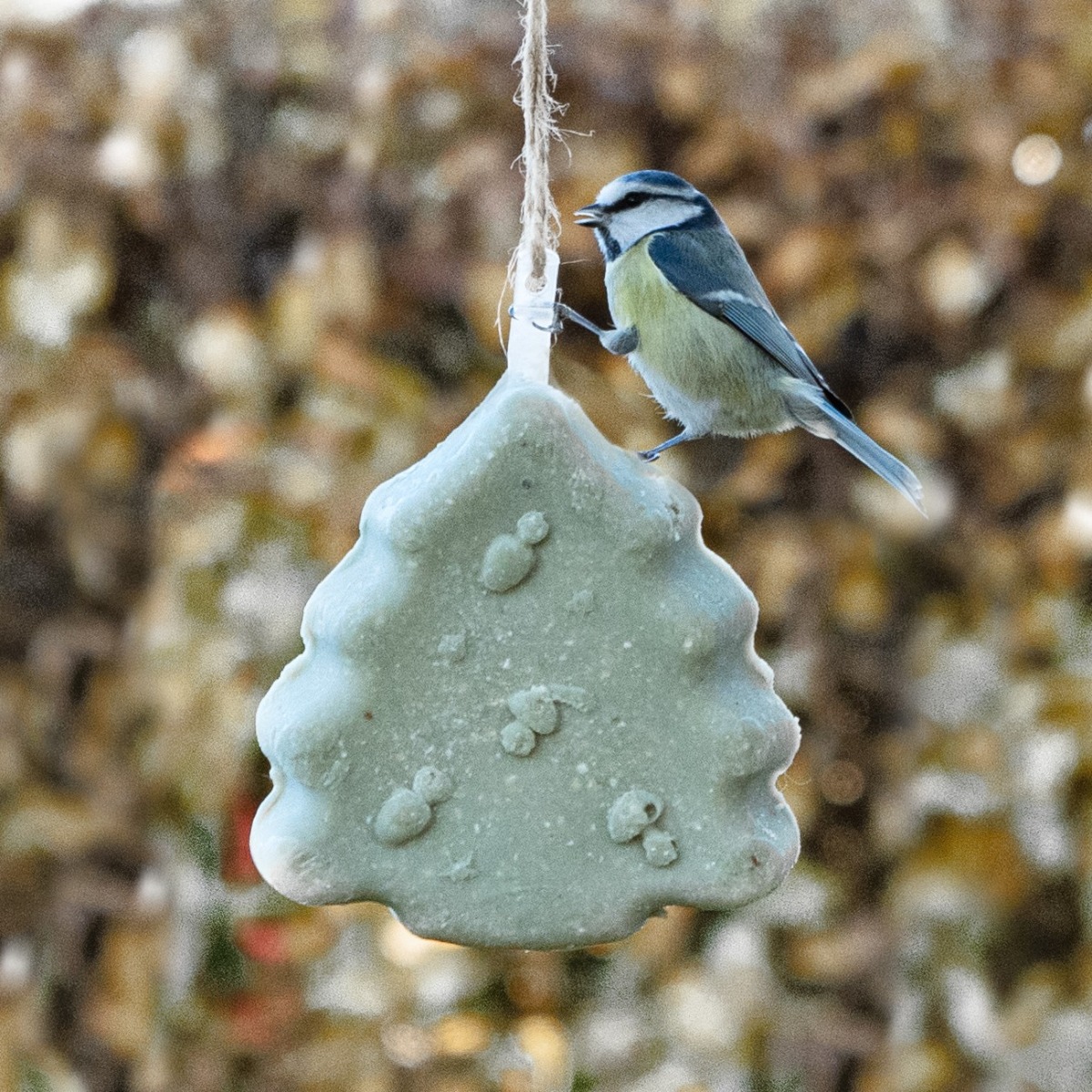 Christmas Tree Suet Treat 200g