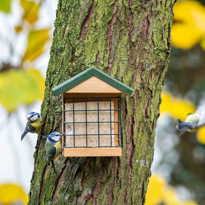 Suet Cake with Seeds - Bundle of 20