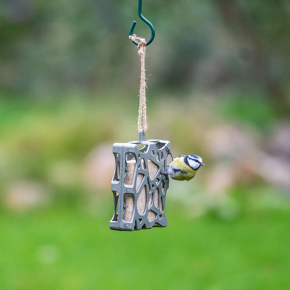 Suet Cake with Seeds - Bundle of 20