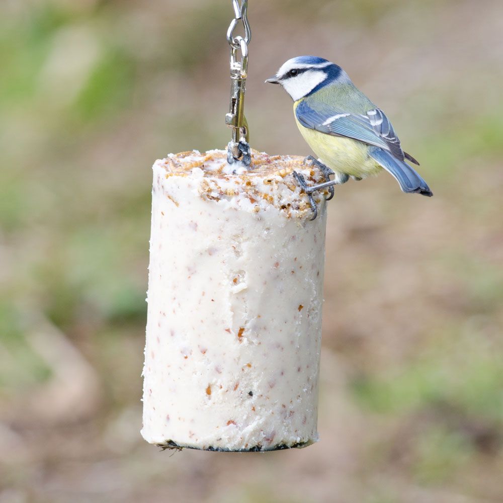 Fuglefoder fedtsøjle pakke (12 x 500 ml)