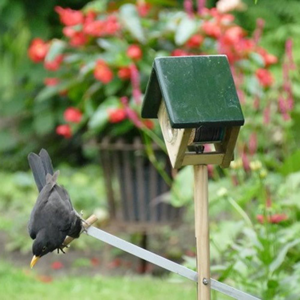 Pindakaaswip Cork op paal met gratis pot pindakaas