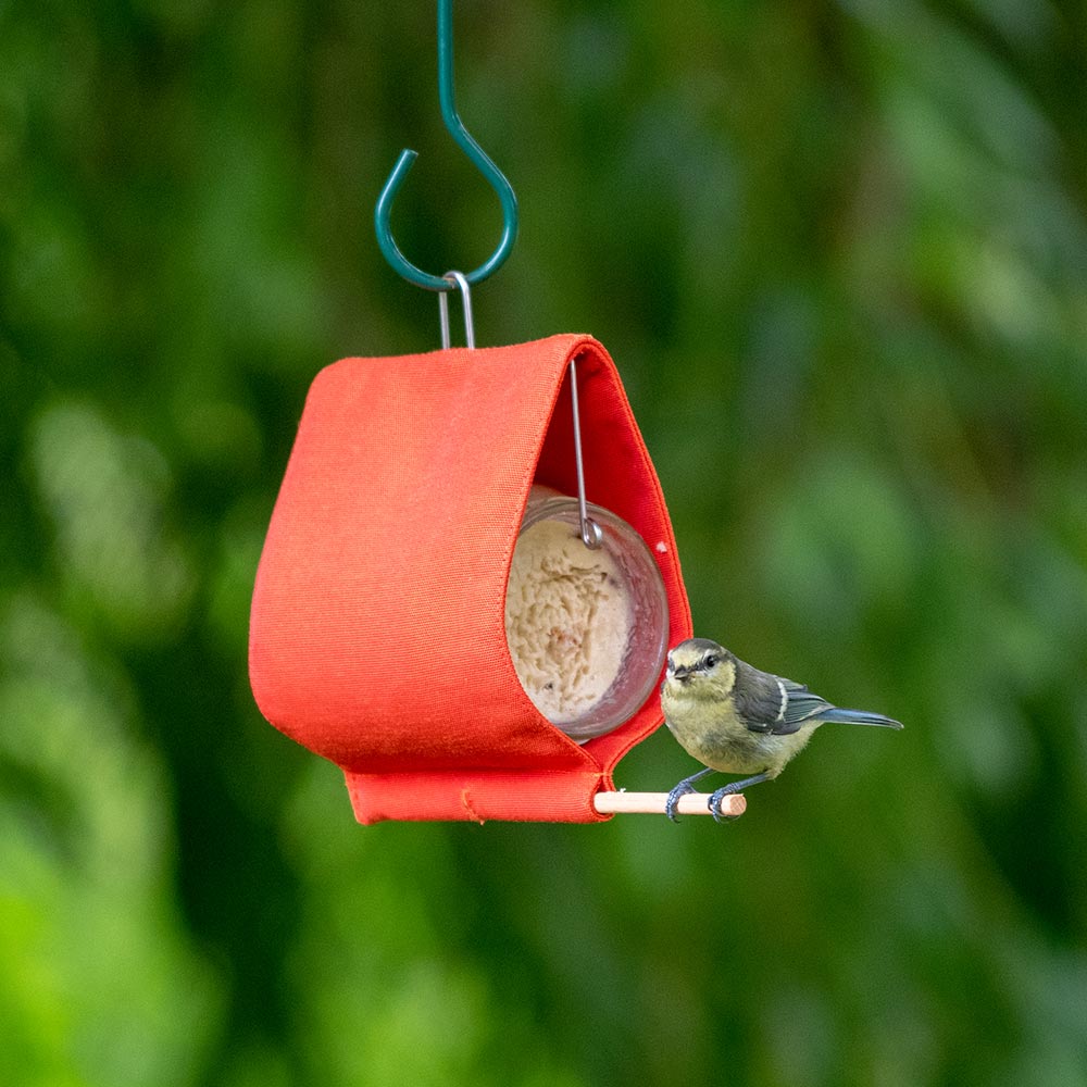 Malibu Peanut Butter Feeder Starter Bundle