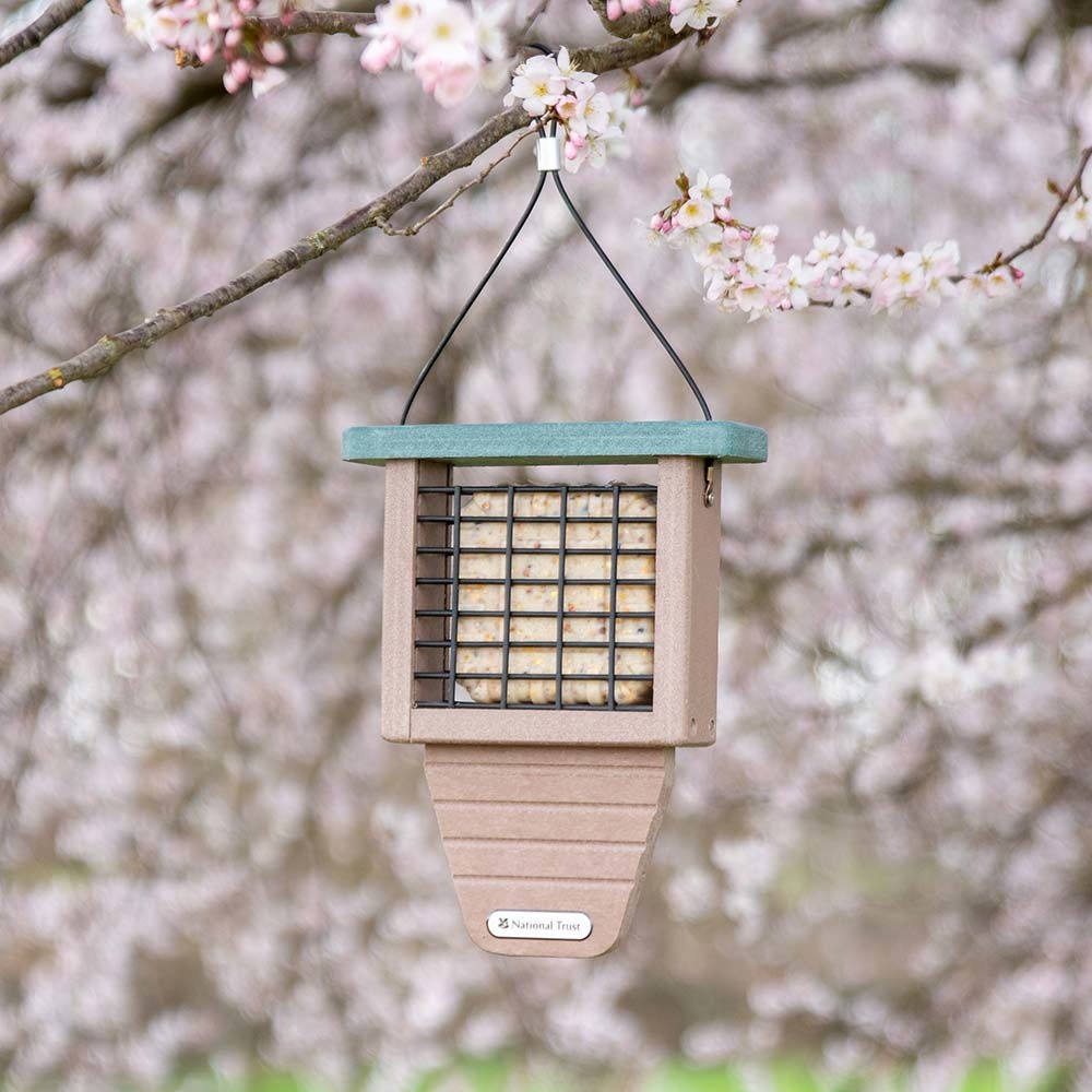 Monte Rosa Feeder & Peanut Cakes Starter Bundle
