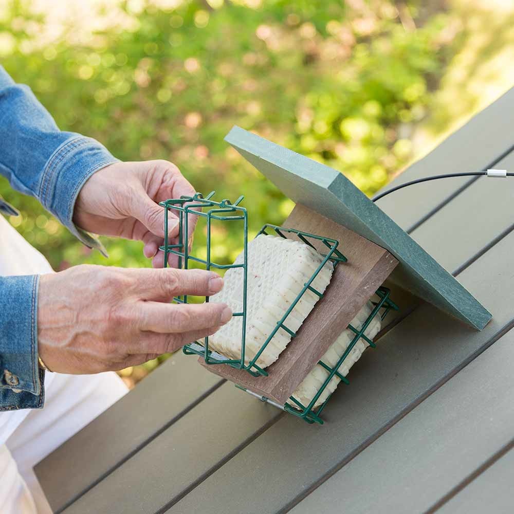 Variationspaket mit 4 verschiedenen Sorten von Energieblöcken