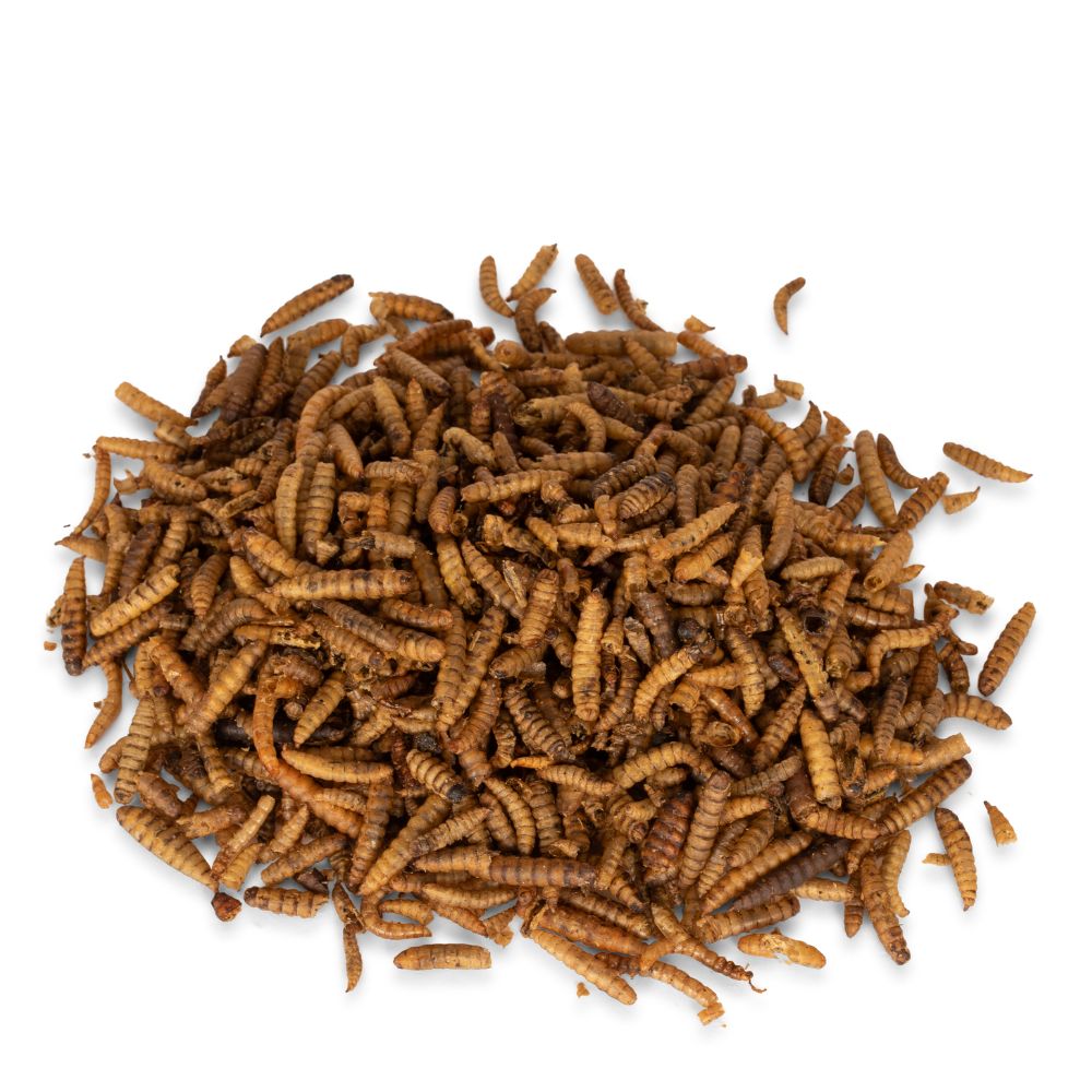 Protein-Rich Dried Insect Mix 1kg