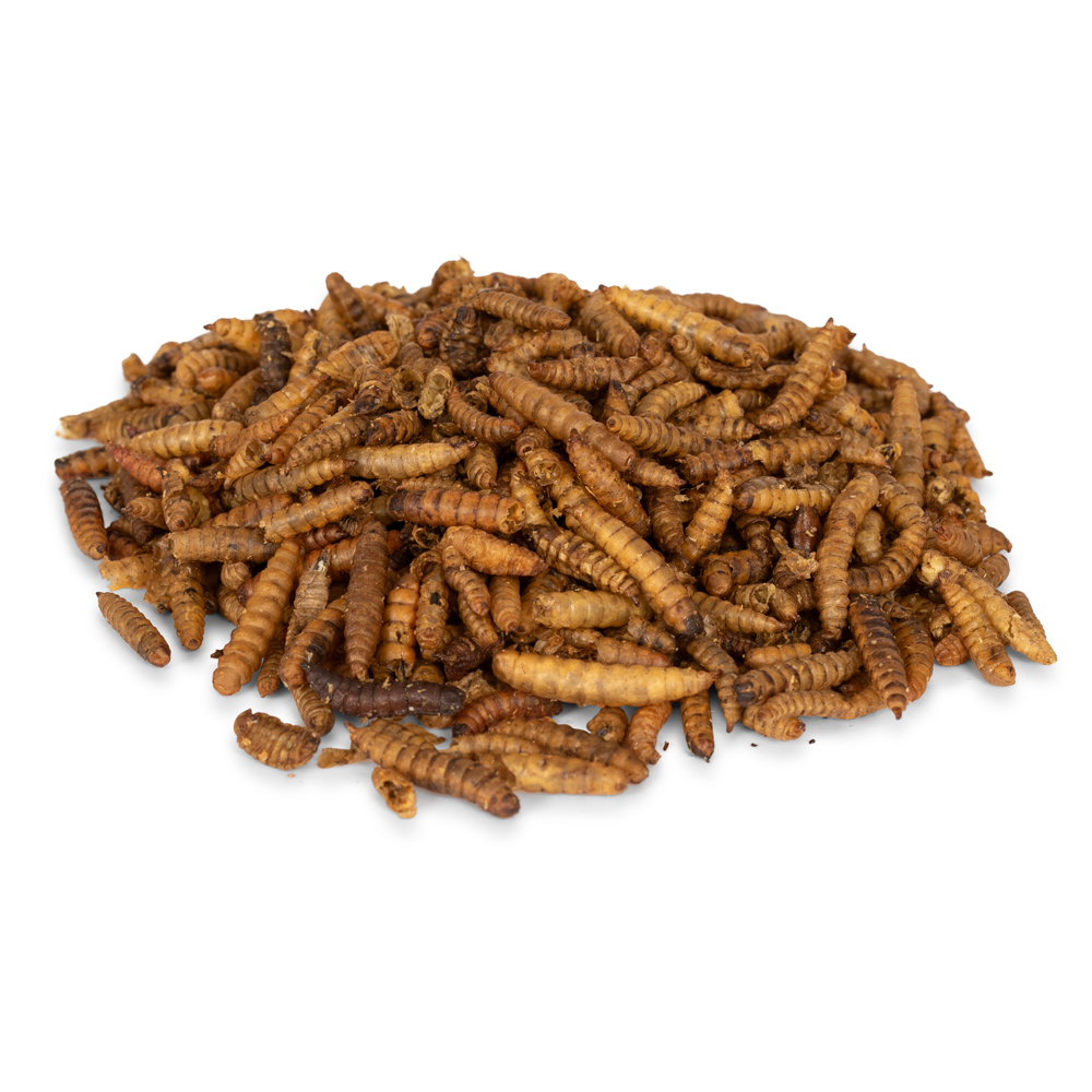 Dried Calcium Worms 1kg