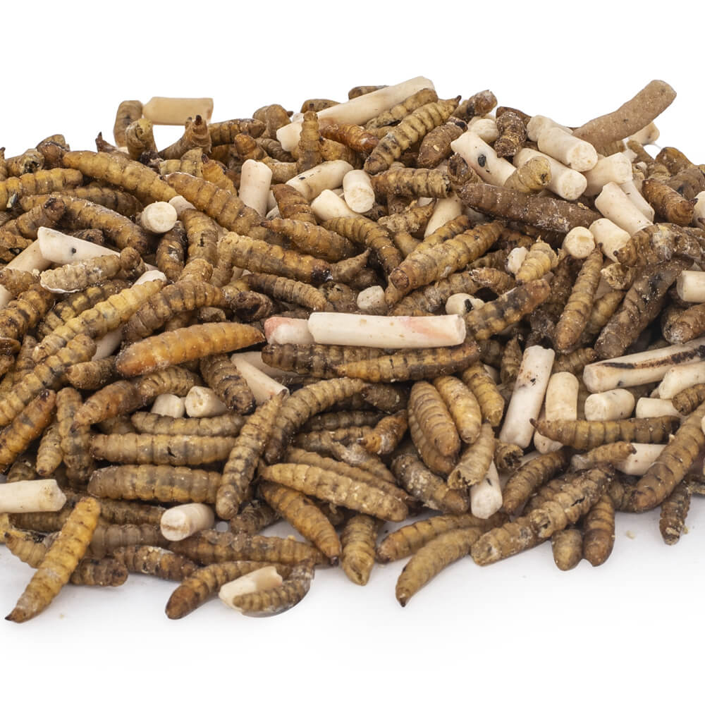 Protein-rich Insect & Pellets Mix (2.5kg)