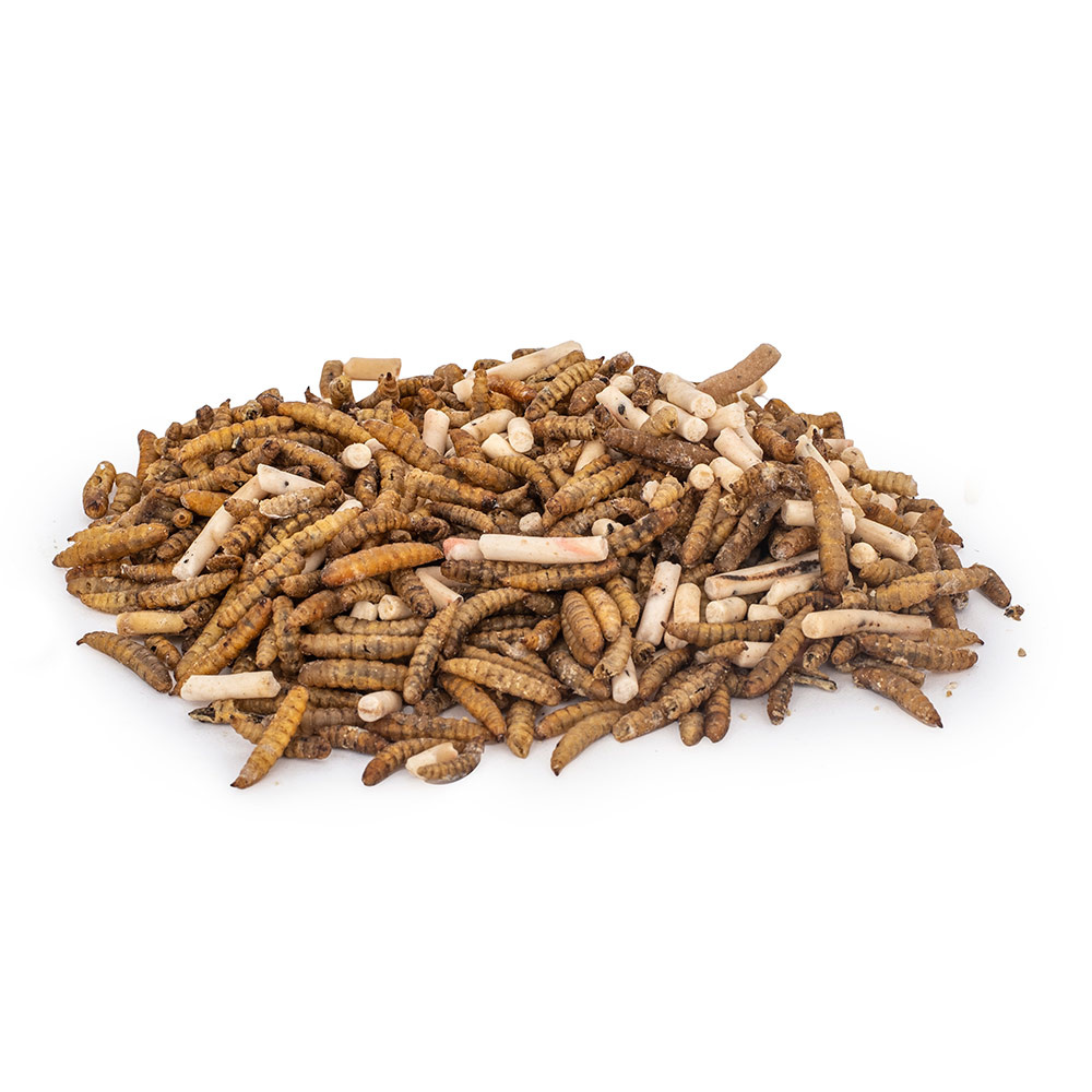 Protein-rich Insect & Pellets Mix (2.5kg)