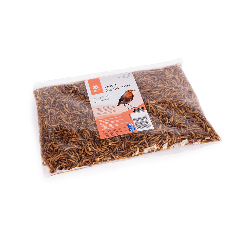 Mealworm Feeder & Dried Mealworms Starter Bundle
