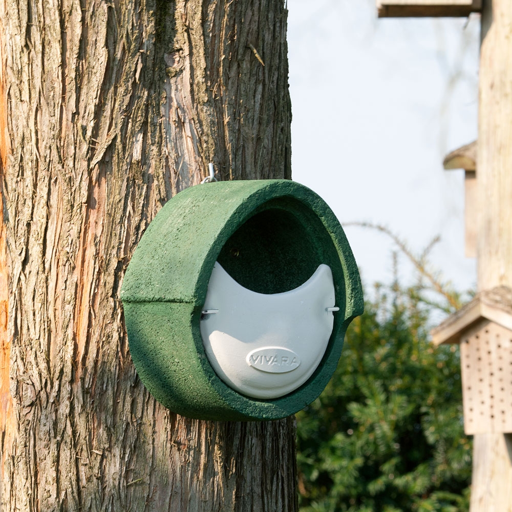 Nestpakket Roodborst - WoodStone Nestkast halfopen met meelwormen