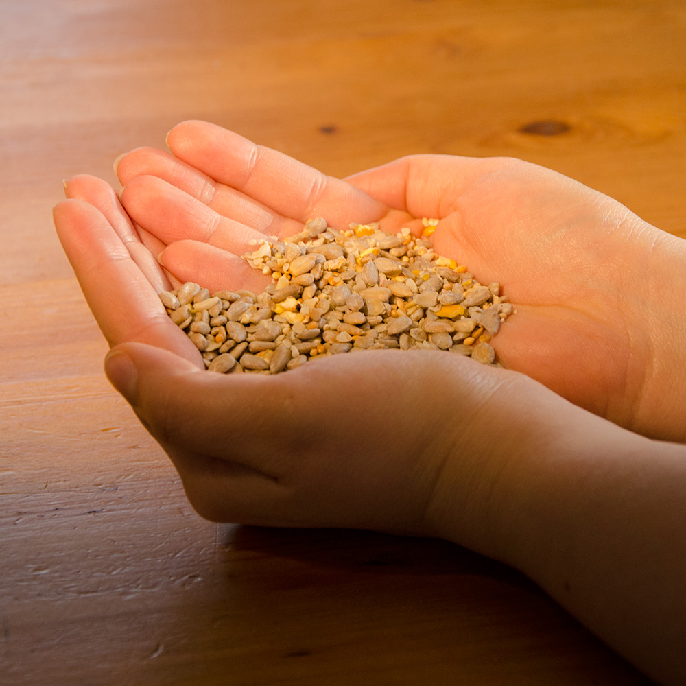 Hi-Energy No Mess Bird Seed Mix