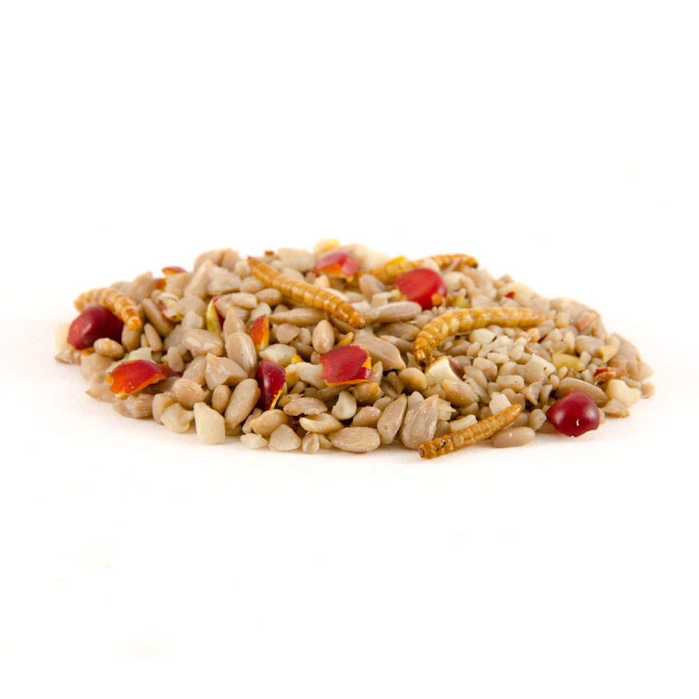 Hi-Energy Supreme Bird Seed Mix