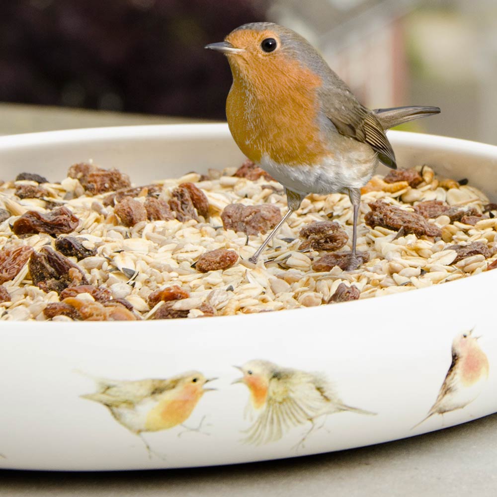 Vogelvoer voor Roodborsten