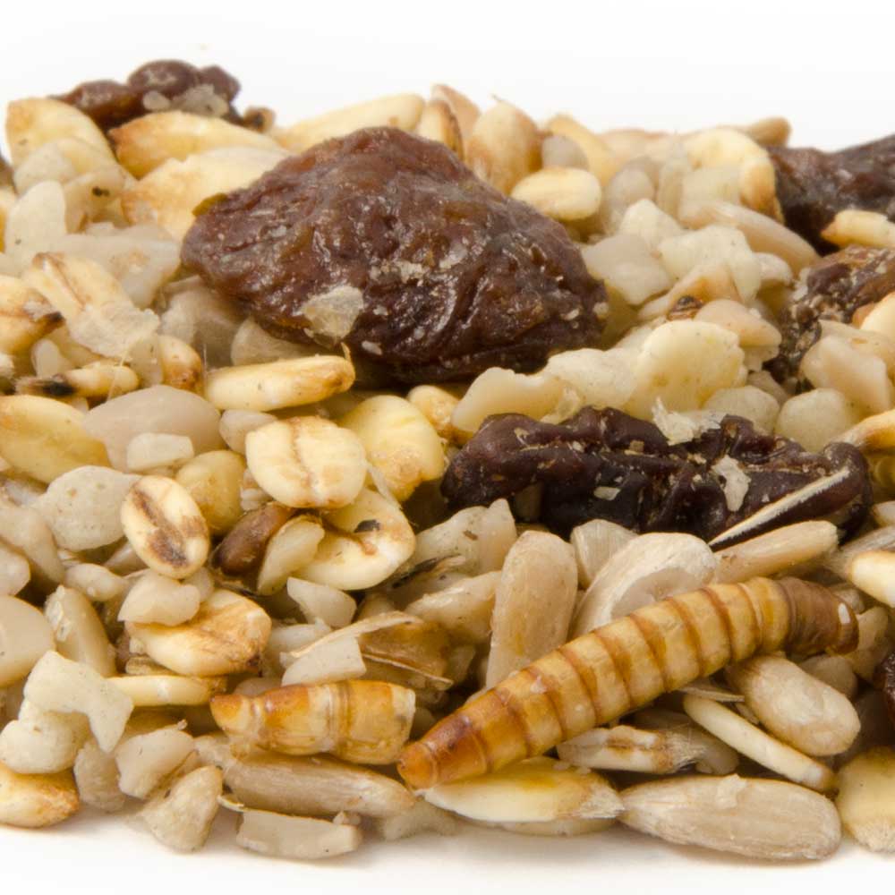 National Trust Gourmet Robin Blend 1kg