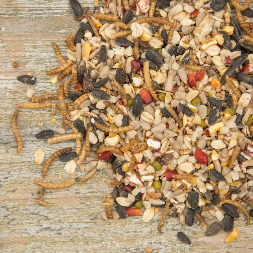 Vitality Bird Seed Mix (20kg)