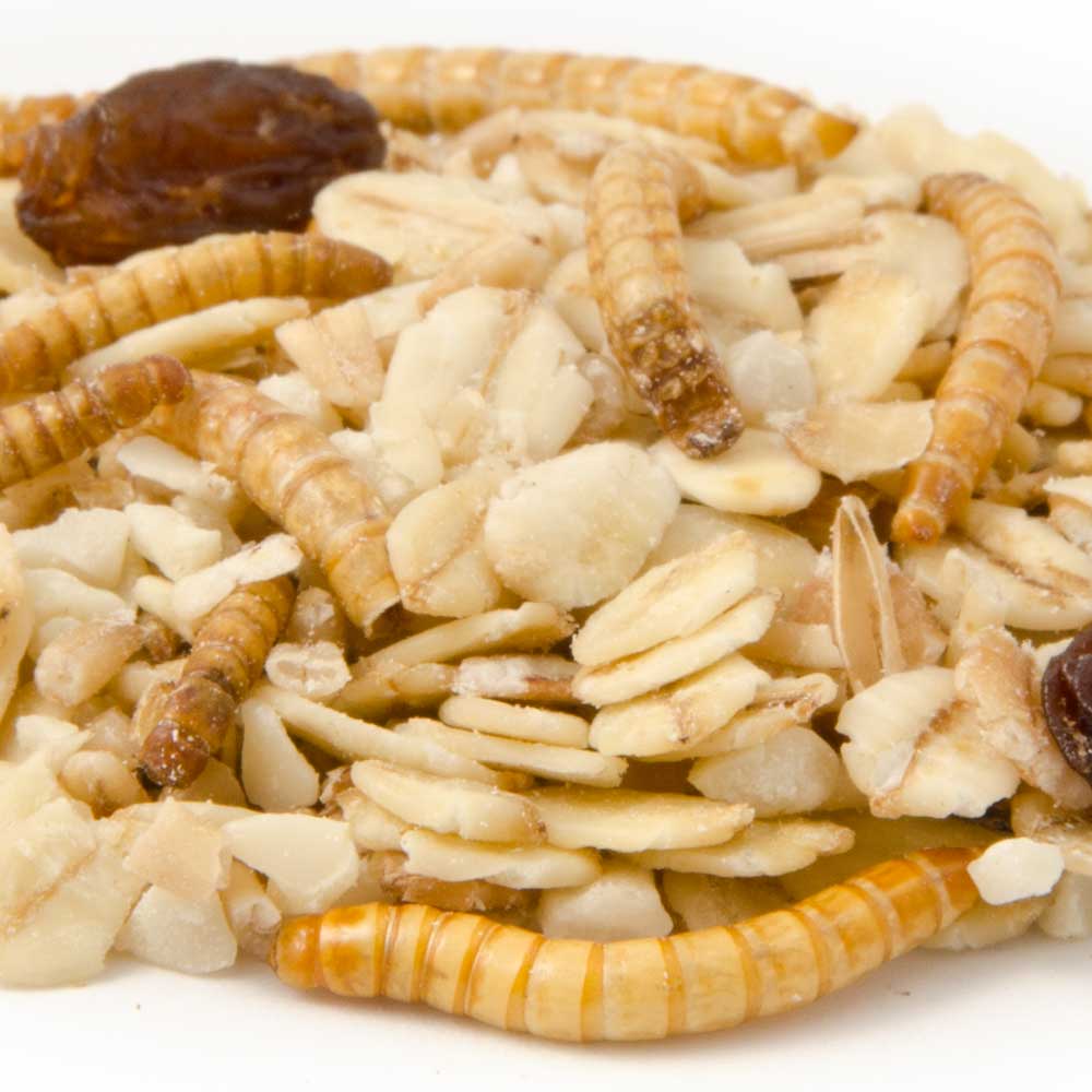 Muesli with Mealworms (2.5kg)