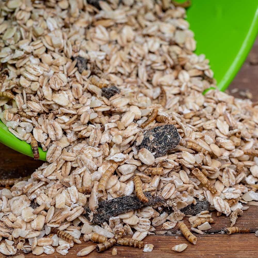 Muesli with Mealworms (2.5kg)