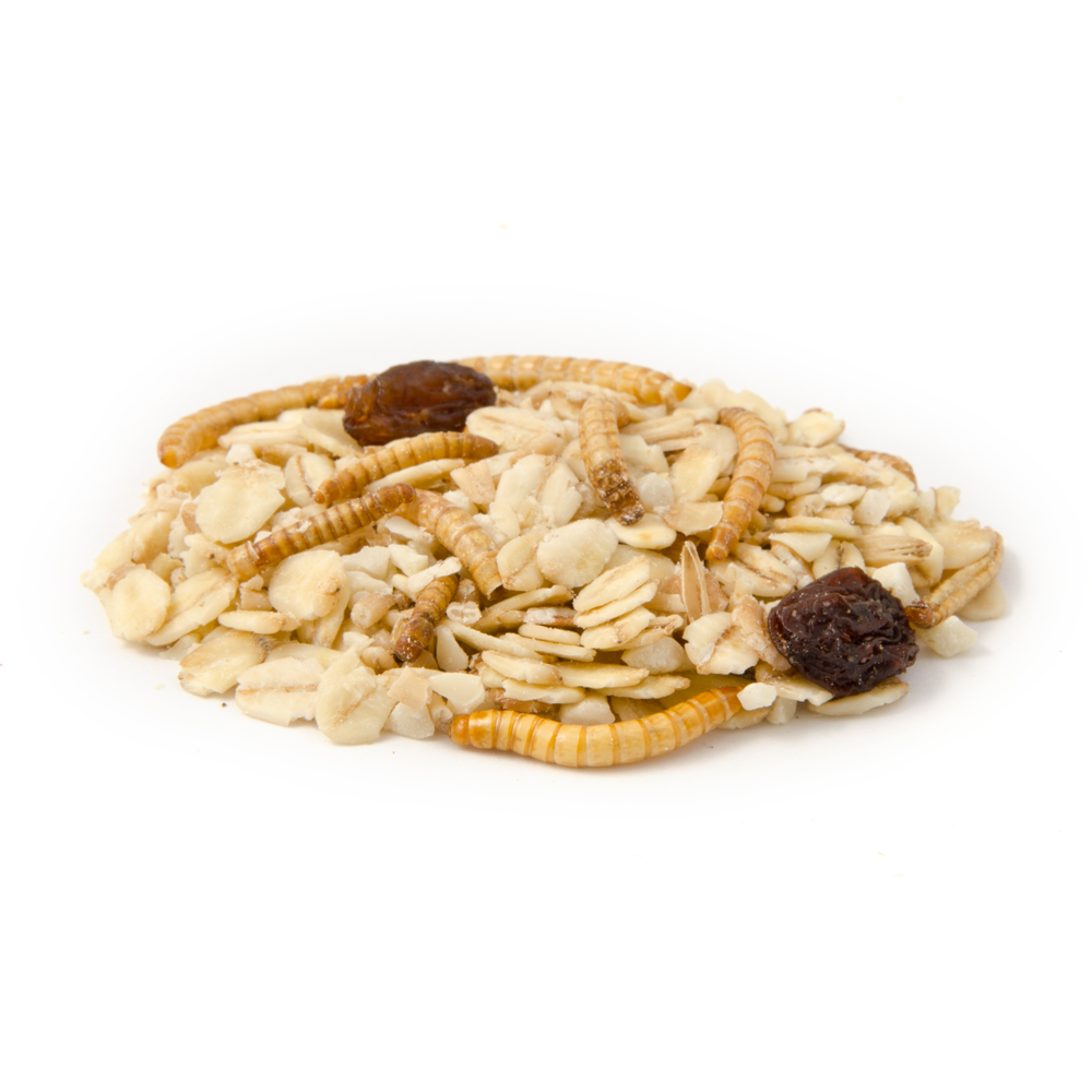 Muesli with Mealworms (2.5kg)