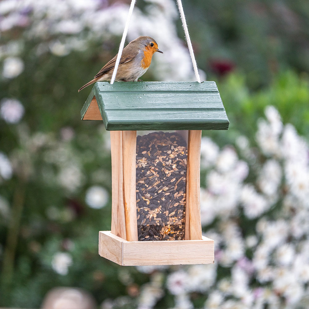 Premium Zadenmix met insecten
