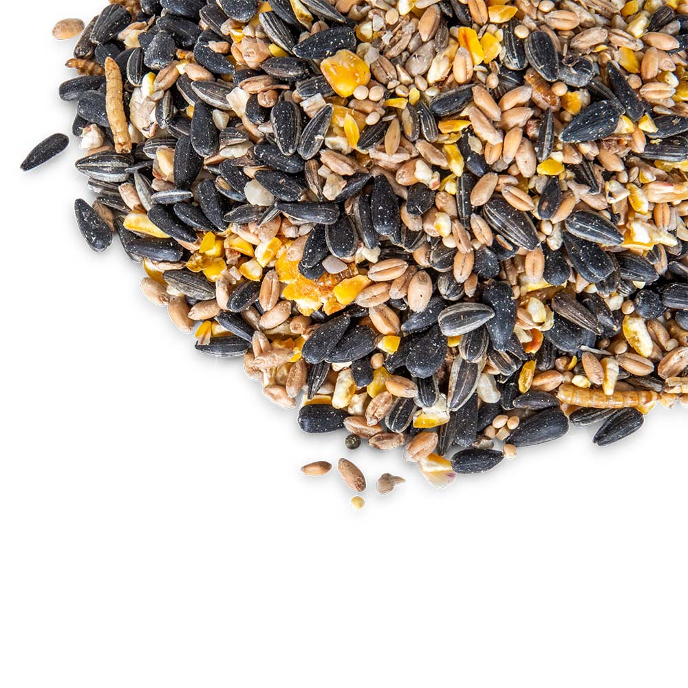 Premium Zadenmix met insecten