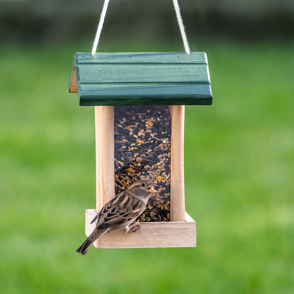 Premium Zadenmix met insecten