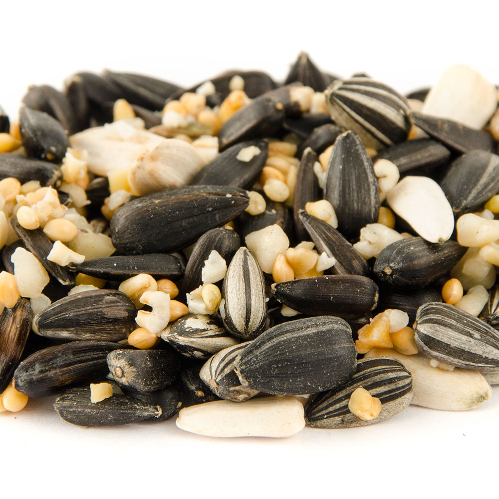 National Trust Garden Bird Feeder Seed Mix