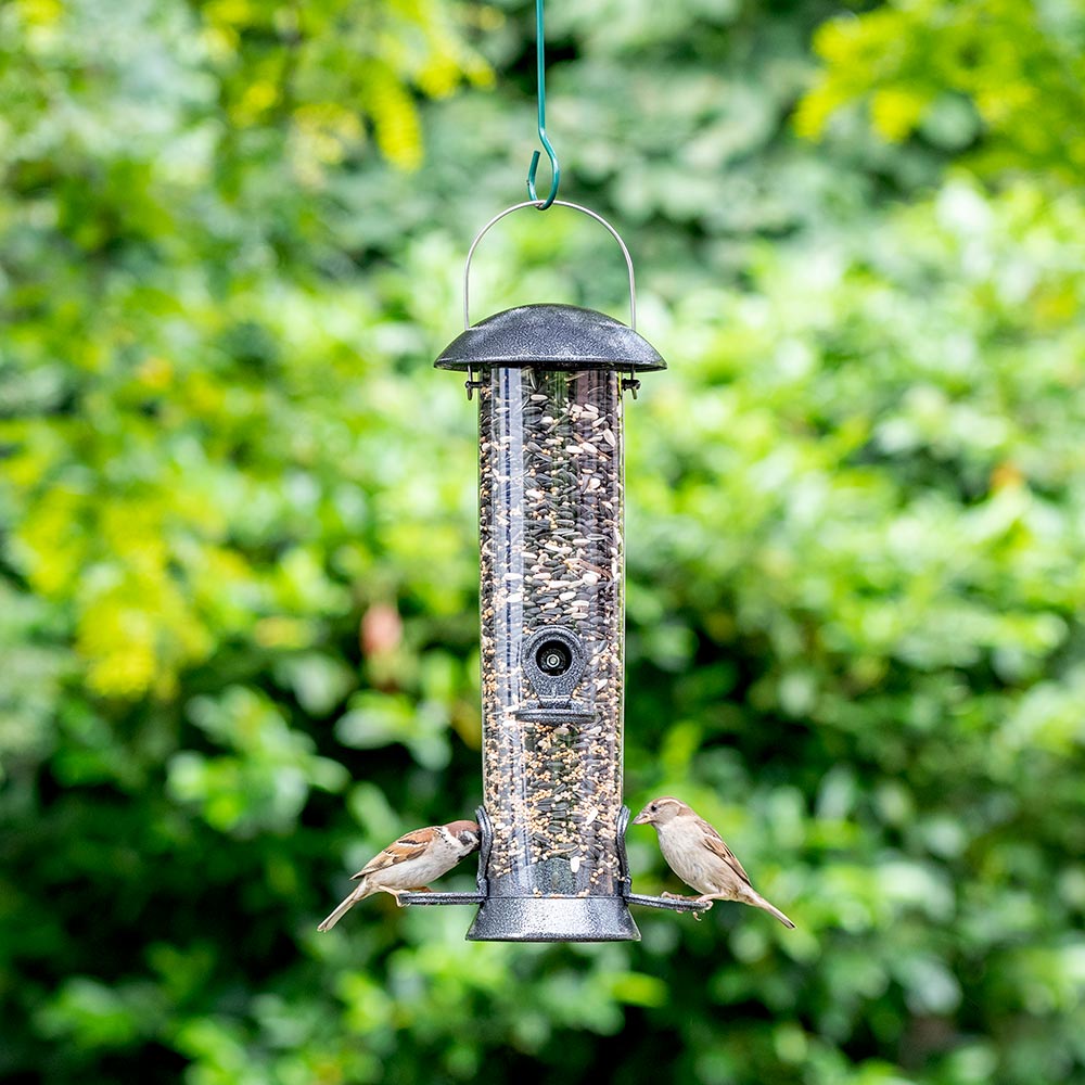 National Trust Garden Bird Feeder Seed Mix