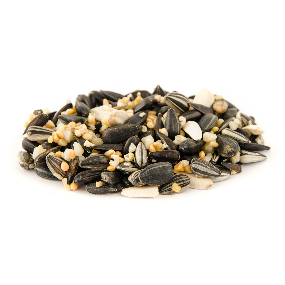 Bird Feeder Seed Mix