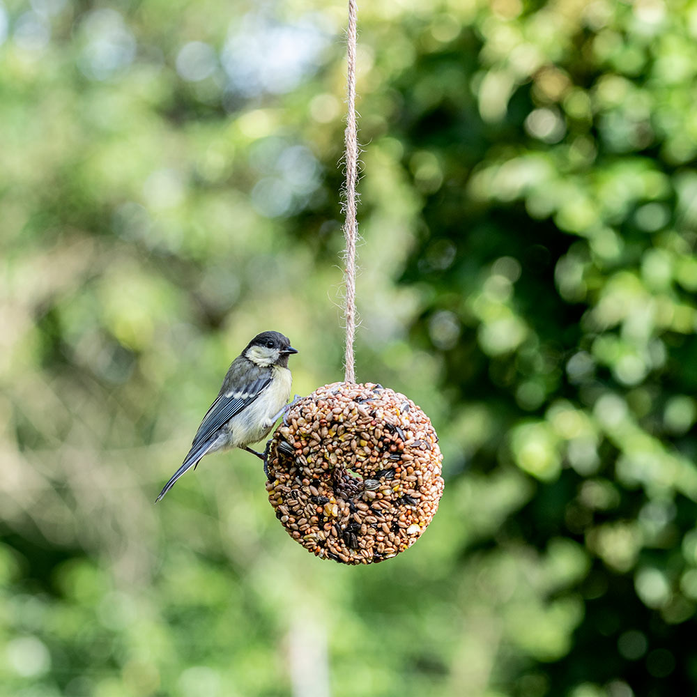 Hanging Mixed Seeds Ring 