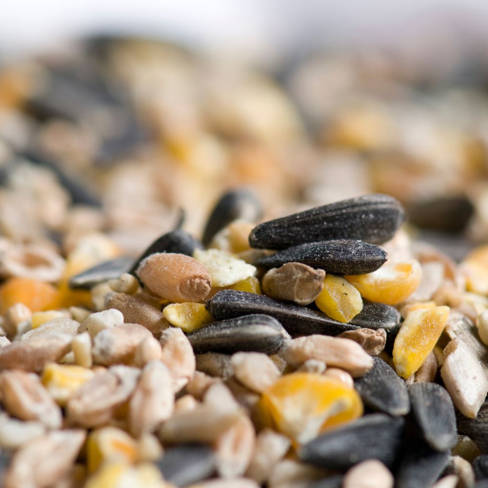 Bird Seed Variety Bundle 5 x 1kg Bags