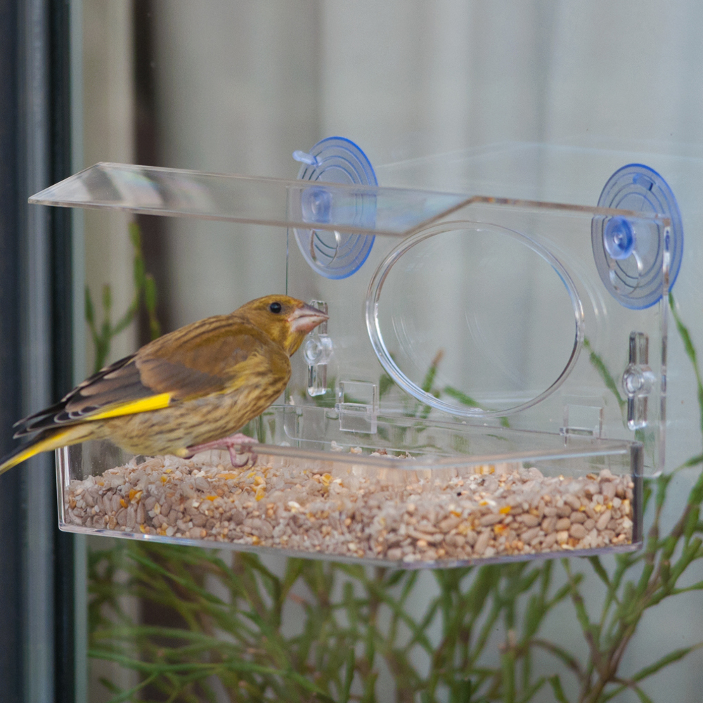 Rhodes Window Feeder & Seed Mix Starter Bundle