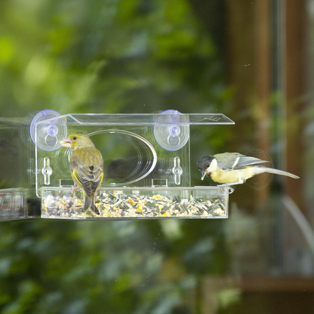 Rhodes Window Feeder & Seed Mix Starter Bundle