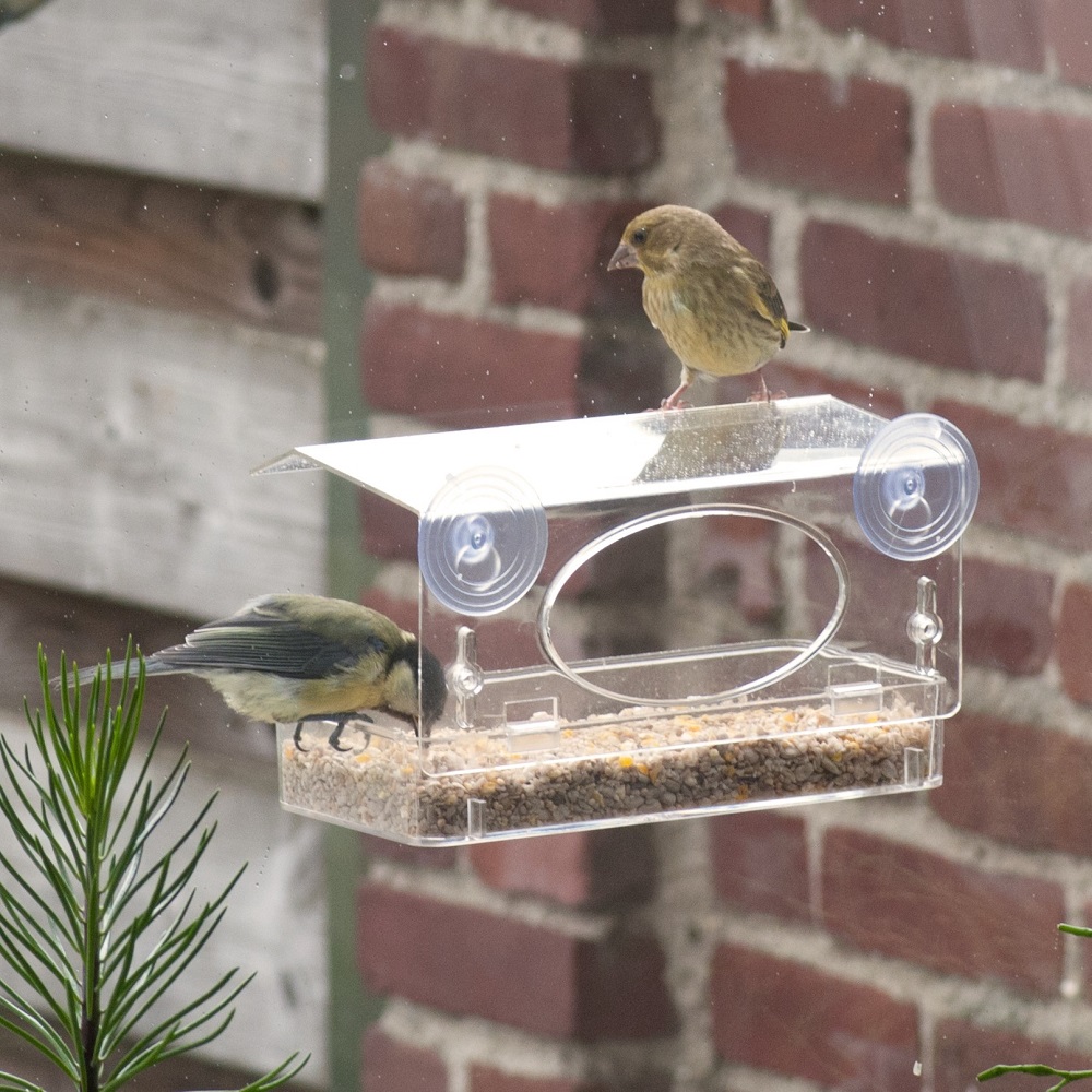 Rhodes Window Feeder & Seed Mix Starter Bundle