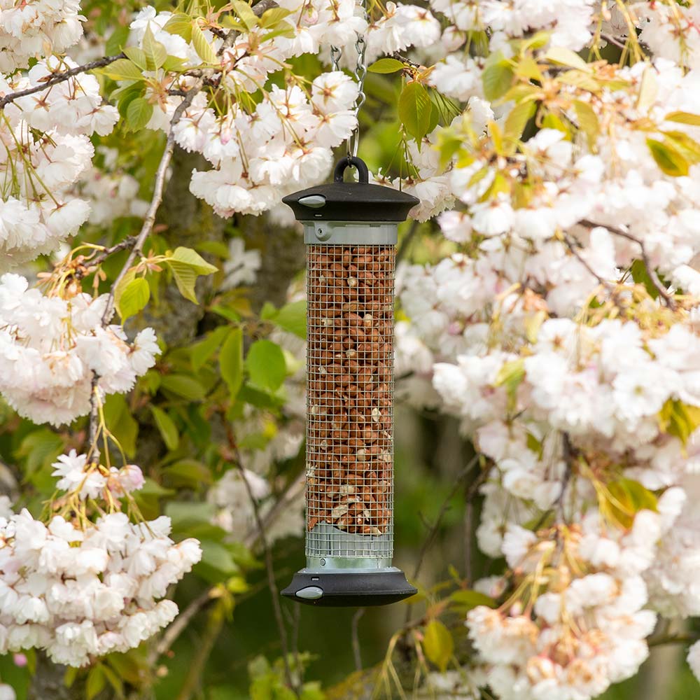National Trust Premium Bird Peanuts