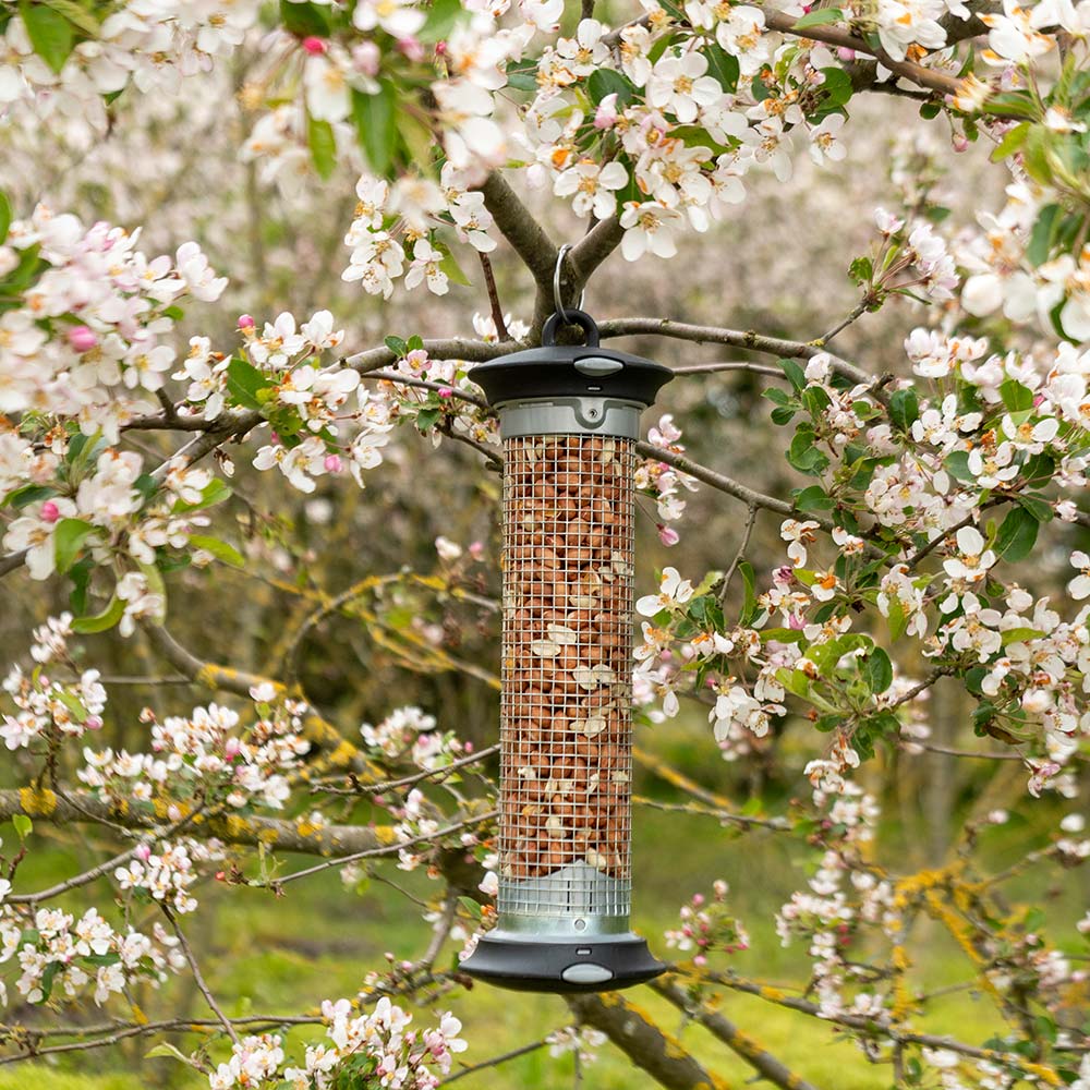 National Trust Premium Bird Peanuts