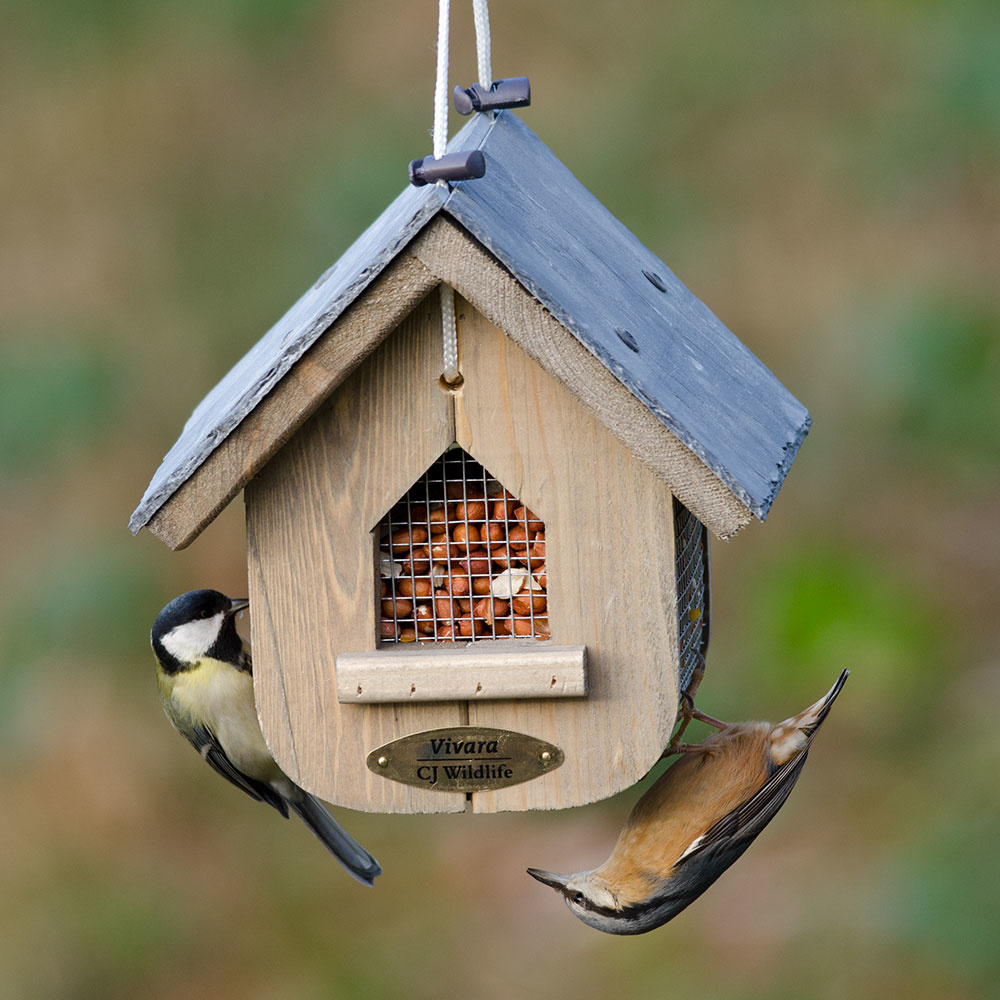 Cacahuètes premium pour oiseaux