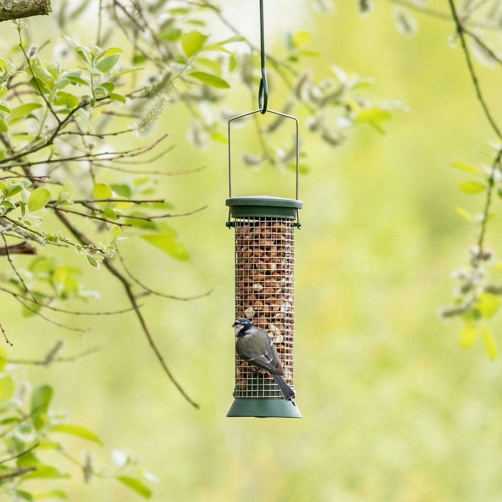 Premium Peanuts & Feeder Starter Bundle